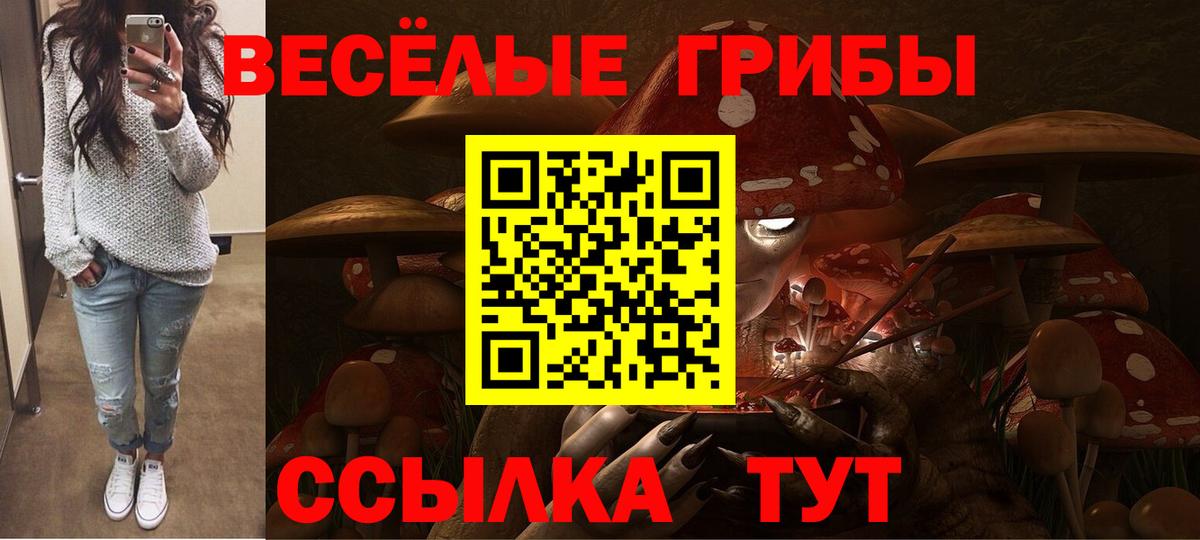 Псилоцибиновые грибы ЛСД Иваново