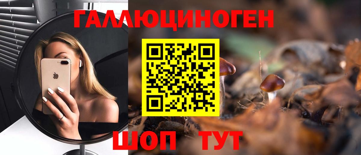 даркнет сайт  Псилоцибиновые грибы MAGIC MUSHROOMS  Вход с VPN  Иваново 